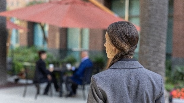 High Profile Individual Close Protection (1)