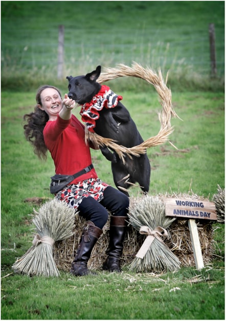 WorkingAnimalDay2