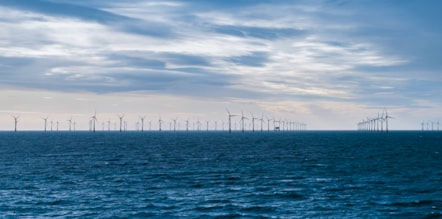 Offshore wind farm