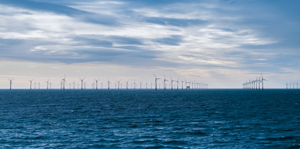 Offshore wind farm