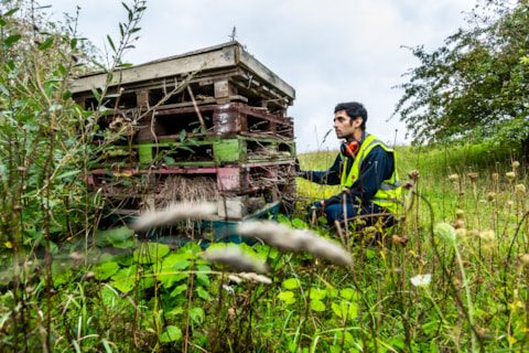 Bug hotel