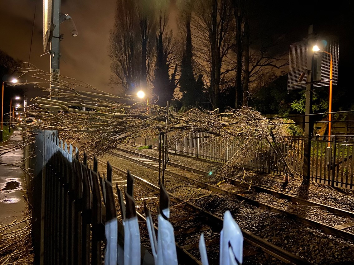 Cross City line fully reopens after fallen tree pulls down overhead power lines: Tree on the line at Wylde Green