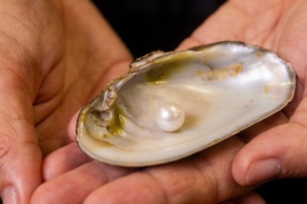 The Abernethy Pearl. Image copyright Duncan McGlynn (6)