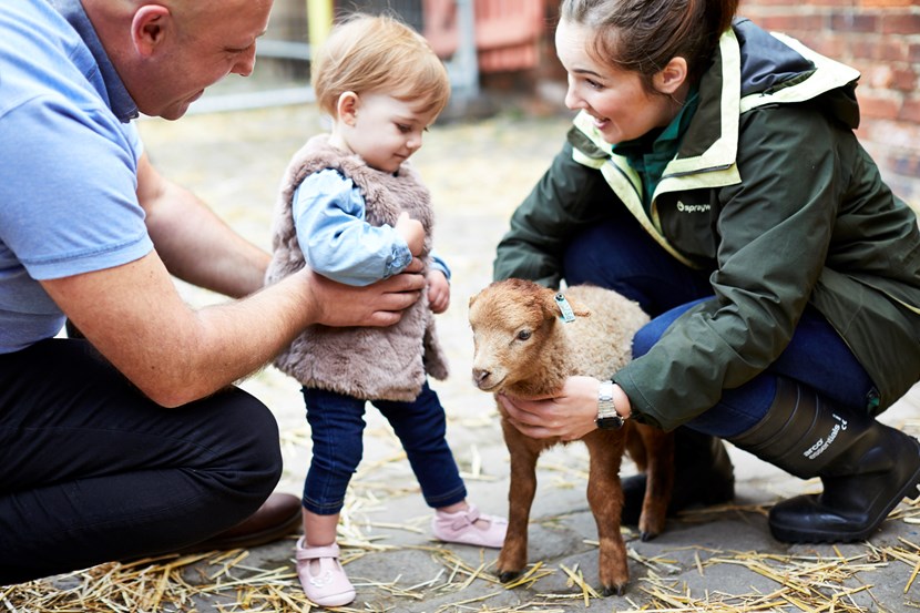 Enjoy the magic of Temple Newsam estate’s Springtime Babies event this Easter: templenewsam-spring2017189.jpg