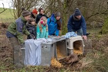 Beaver kits getting released ©Beaver Trust