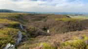 Bats make home in unusual upland habitat Barnsley: Bats make home in unusual upland habitat Barnsley