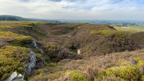 Bat breeding area given Local Wildlife Site status thanks to Yorkshire Water’s Batman: Bats make home in unusual upland habitat Barnsley