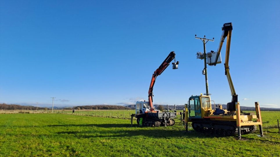 Wooden poles being removed