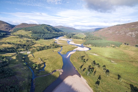 Park Authority commits to being ‘Net Zero’ within 4 years: River Dee Riparian growth (c) James Shooter