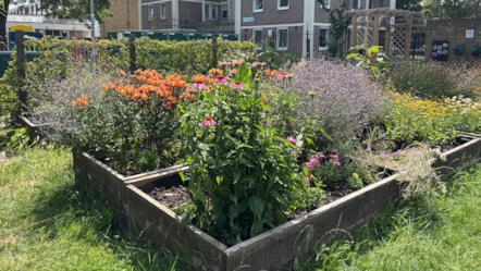 Kingsgate Estate
