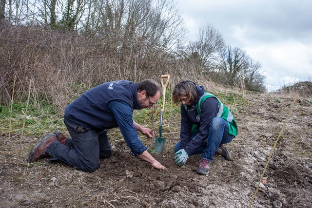 Tree Sustainability-2: Over 1,000 trees planted in one day at Alton!