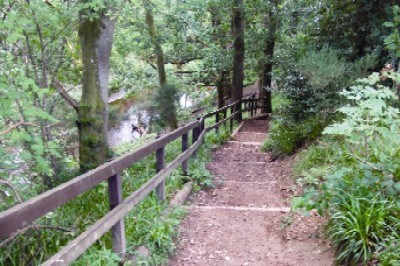 Forres' Sanquhar Woods survey