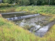 Rainscape2 (credit BHCC Flood Risk team): Rainscape2 (credit BHCC Flood Risk team)