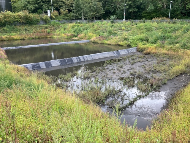 Rainscape2 (credit BHCC Flood Risk team)