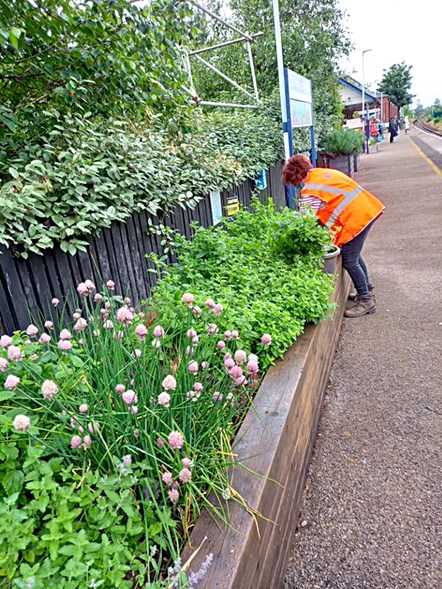 This image shows a volunteer tending to flowebeds at one of Northern's stations