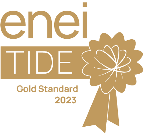 enei-TIDE-Gold-Standard-2023 (2)