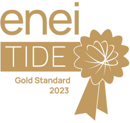 enei-TIDE-Gold-Standard-2023 (2)