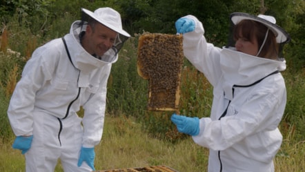 Lauren with bees 2