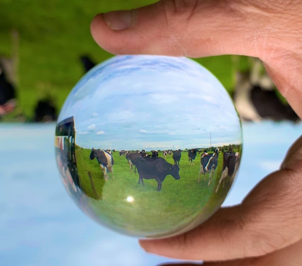 Crystal ball three Credit James Muir, an Arla farmer from Staffordshire Twitter muirtwit