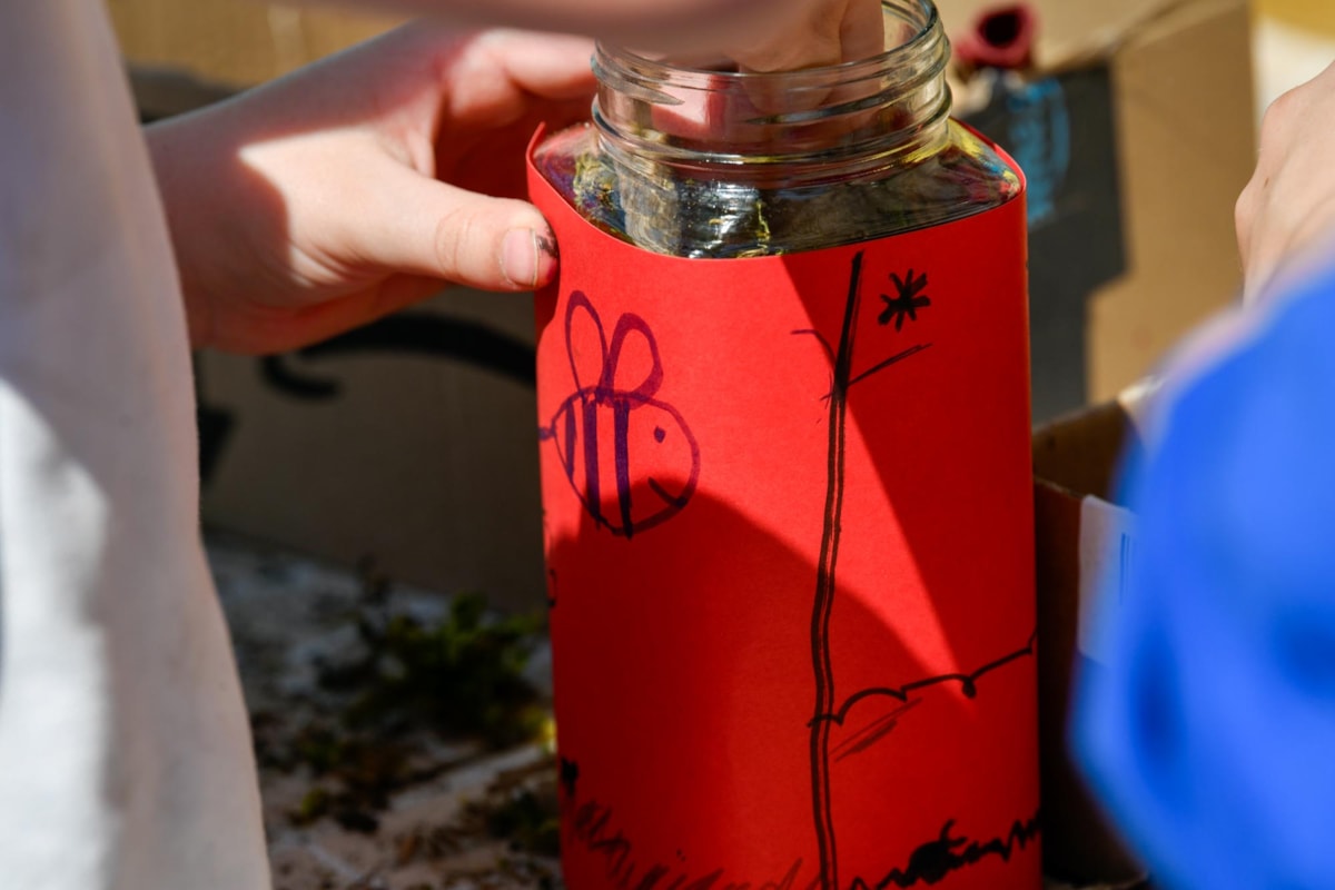 Carlisle schoolchildren created bee hotels to celebrate World Bee Day