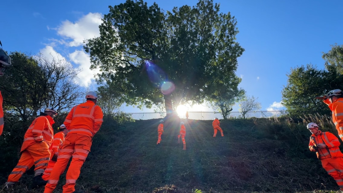 Dangerous tree being inspected at the top of a railway cutting in Warrrington October 2026