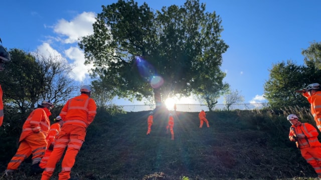 Dangerous tree being inspected at the top of a railway cutting in Warrrington October 2026: Dangerous tree being inspected at the top of a railway cutting in Warrrington October 2026