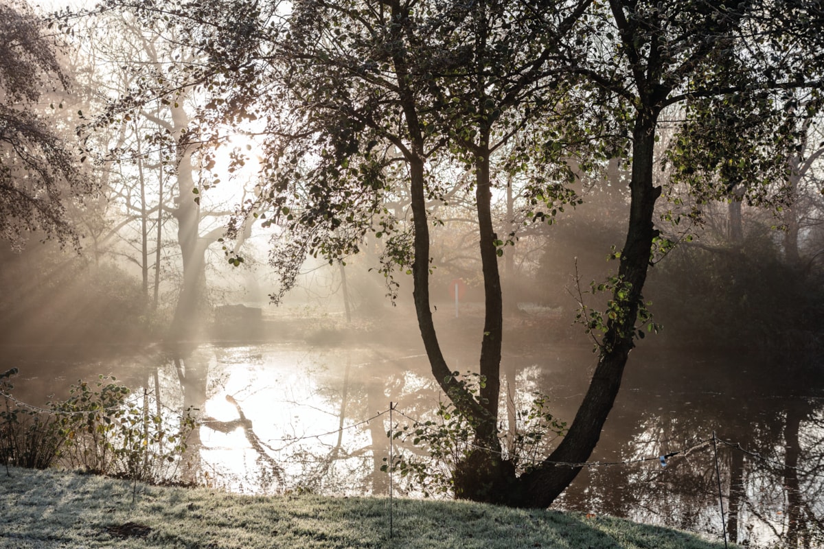 Gunton Hall Lake