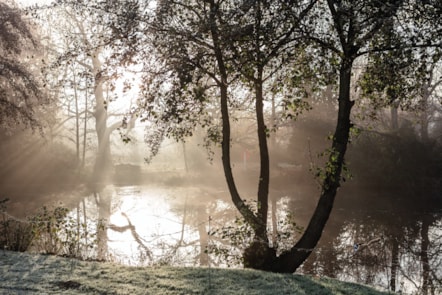 Gunton Hall Lake