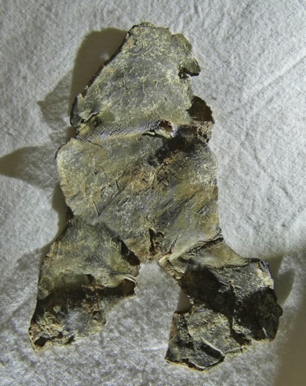 Roman Lead Curse Tablet 1