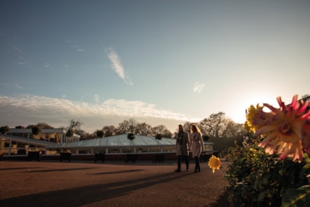 Gunton Hall Grounds