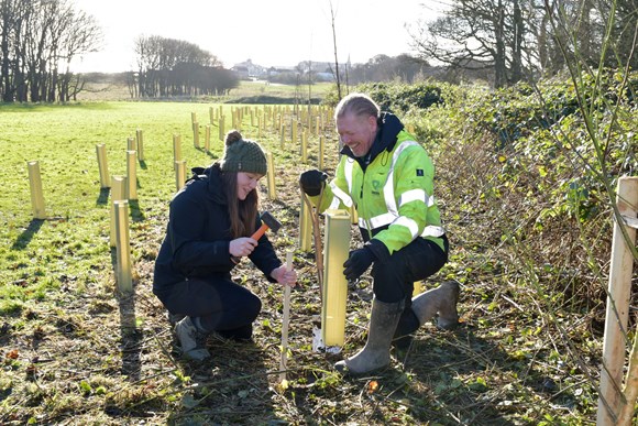 Humber Forest plants 4,500 trees during National Tree Week