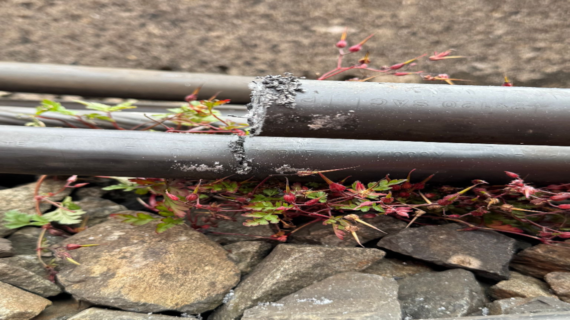 Rail disruption after major vandalism of Wigan railway signalling system: Cut signal cable
