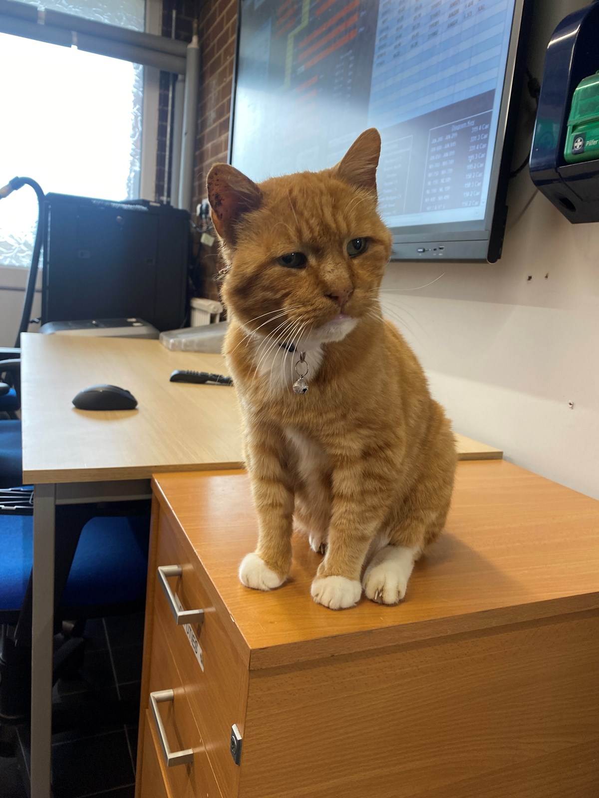 Image shows Ginge in the office at Blackpool North