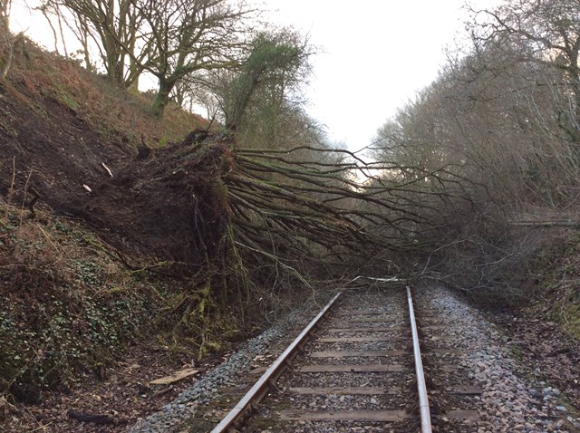 Arriva Trains Wales and Network Rail work around the clock to weather the storm: A tree on the line at Cynghordy in Carmarthenshire