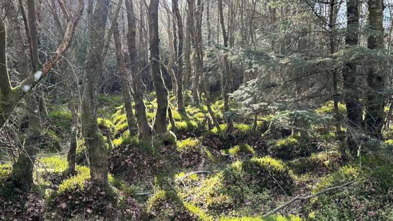 Scotland leads the way with Nature30 sites