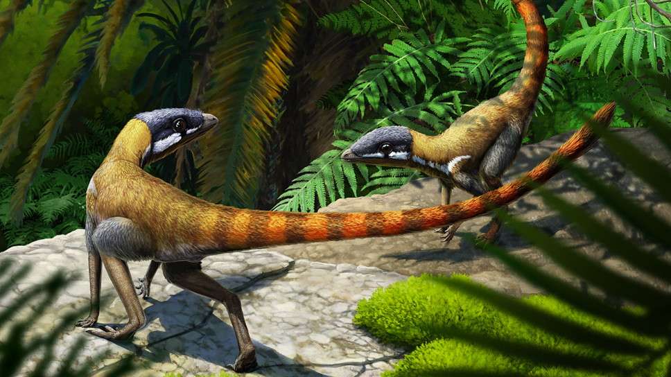 Life reconstruction of Scleromochlus taylori by Gabriel Ugueto © Gabriel Ugueto) WEB