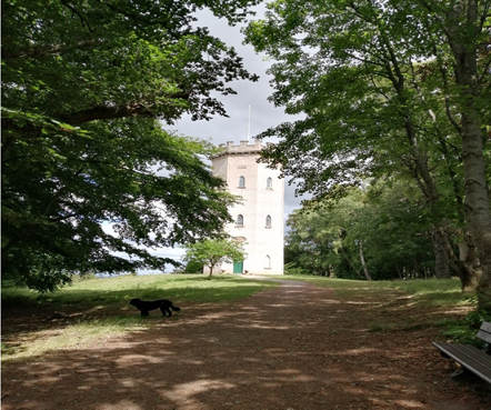 Cluny Hill - Nelson's Tower