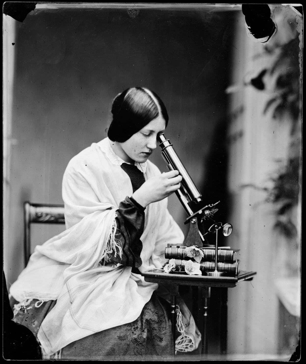 Thereza Llewelyn with microscope circa 1853 - by permission of Amgueddfa Cymru - Museum Wales
