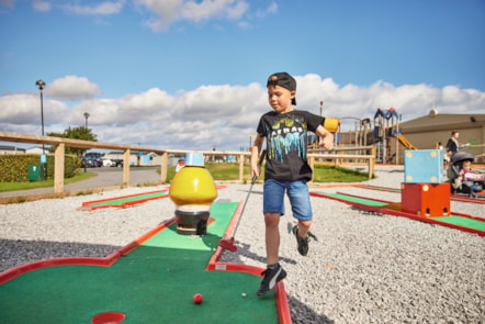 Blue Dolphin Crazy Golf