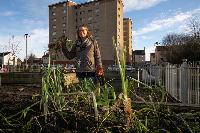 Community growing manager at Fresh Start, Adrienne Mee, harvests some leeks from garden tubs - credit City of Edinburgh Council