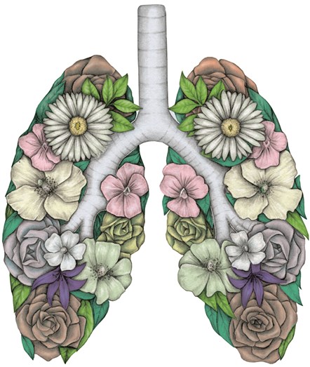 Organ Donation - Lung - Illustration - JPG