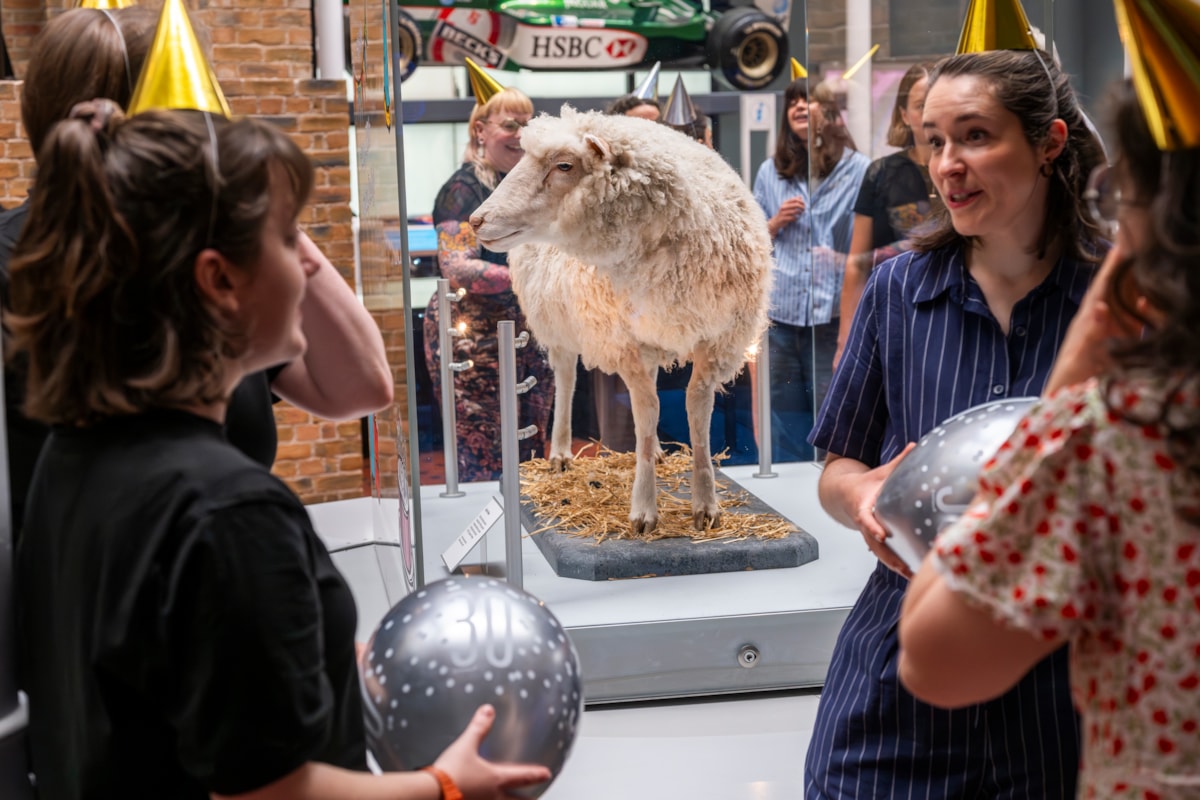 Staff at the National Museum of Scotland celebrate with Dolly the sheep ahead of her birthday on Sun 5 Jul. Image © Andy Catlin