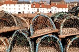 Further support for Scottish fishing industry: Marine-fisheries-fishing-creels