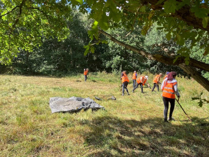 Friends of Breary Marsh scything: Staff at Breary Marsh have changed how they care for the land, including going back to traditional scything instead of mowing.

Credit: D L Preston