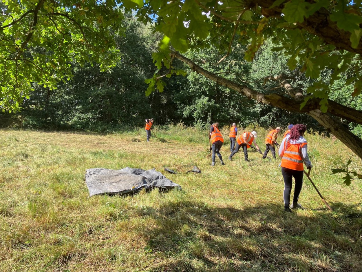 Friends of Breary Marsh scything: Staff at Breary Marsh have changed how they care for the land, including going back to traditional scything instead of mowing.
Credit: D L Preston