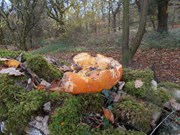 Sea Wood SSSI-pumpkin dumping 19-11-21 HS (1)