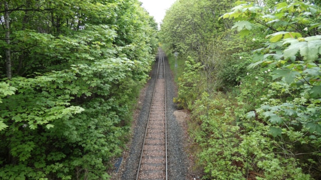 Vegetation Management on the Far North Line cropped: Vegetation Management on the Far North Line cropped