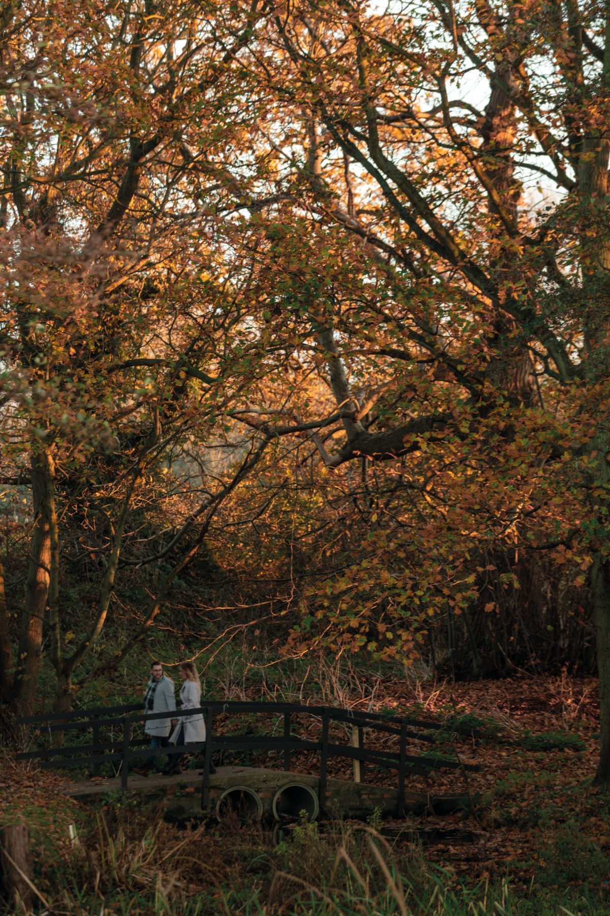 Gunton Hall Grounds