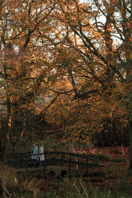 Gunton Hall Grounds