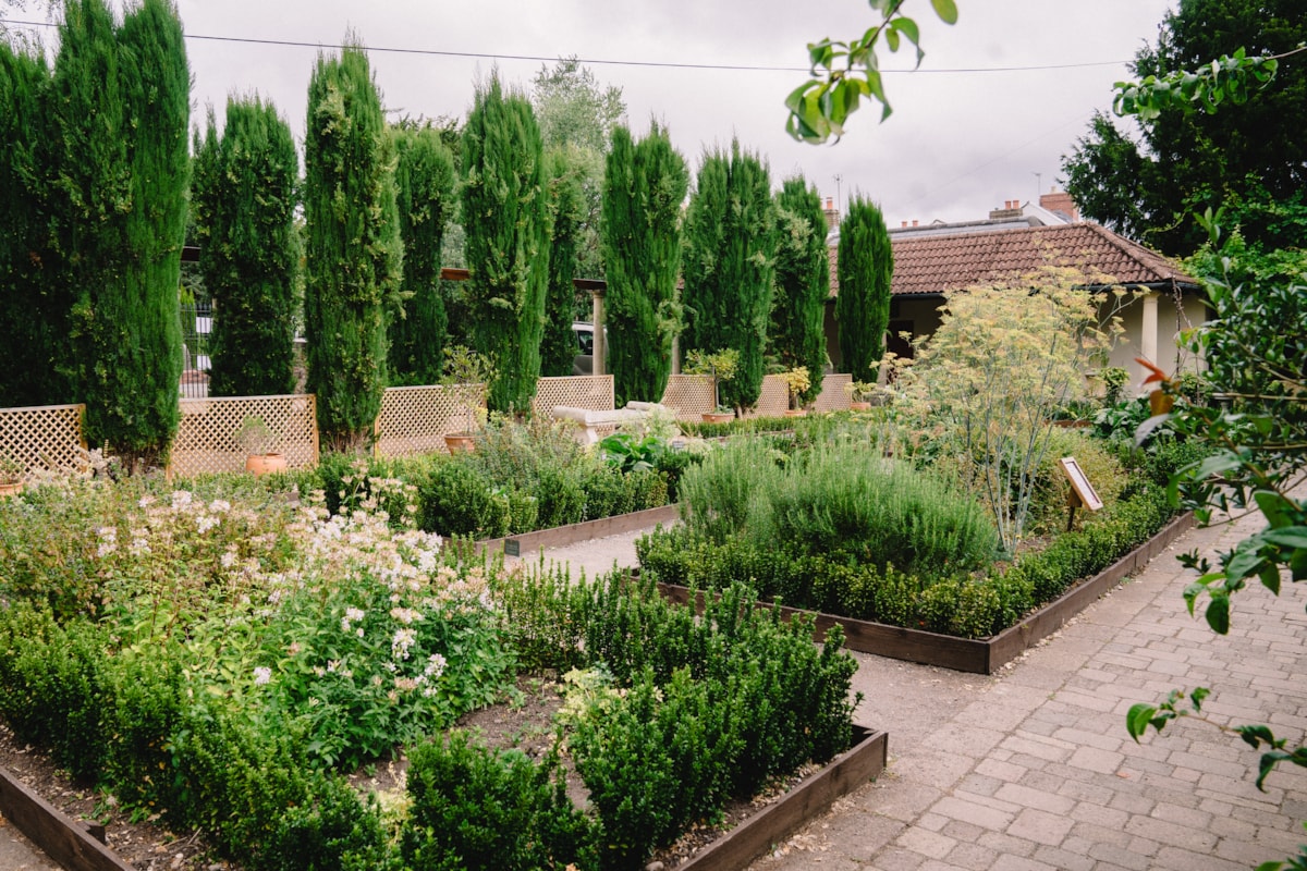 Yr ardd yn Amgueddfa Lleng Rufeinig Cymru yng Nghaerllion.